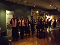 Senioritanssijoiden esitys