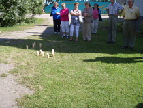 Mölkkyäkin pelattiin