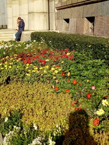 Kukat oli vielä taydessä kukassaan.