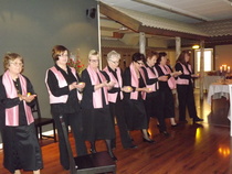 Senioritanssijoiden esitys